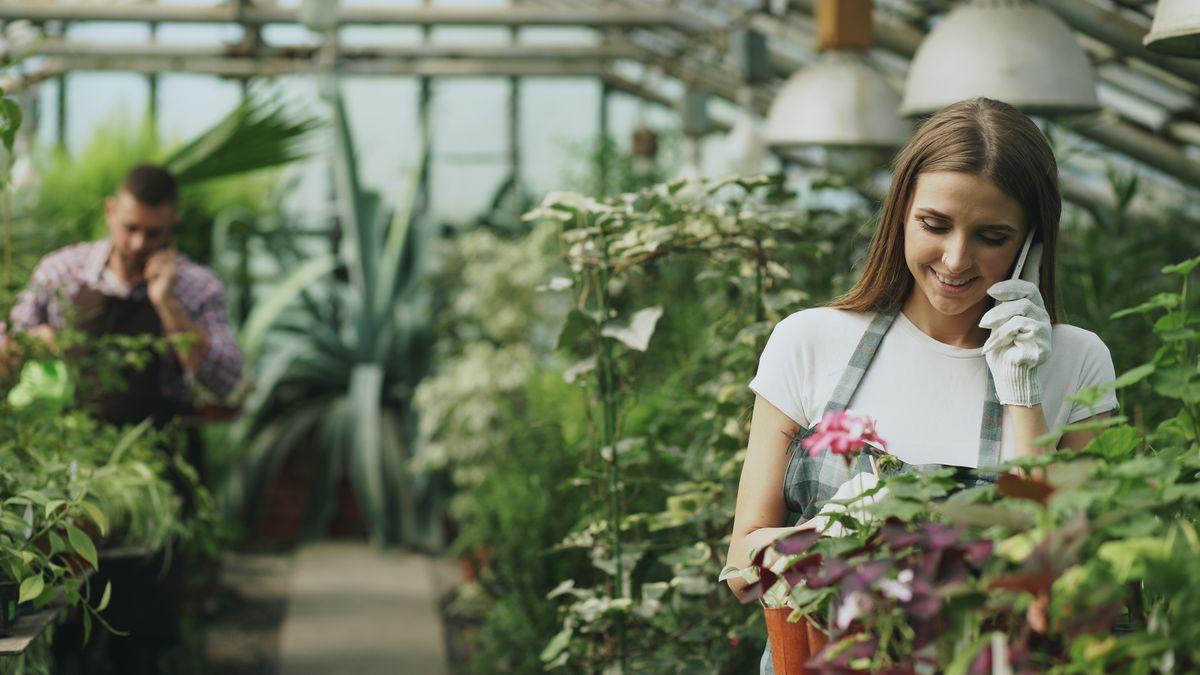 Gardener using phone while working among lush plants