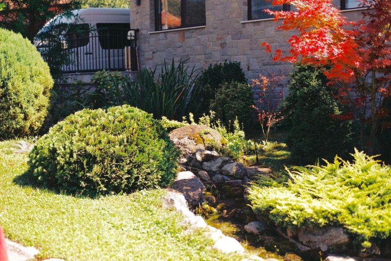 Landscaped garden featuring vibrant foliage, lush greenery and a stone pathway